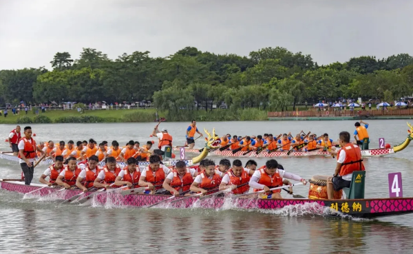 Baiyun dragon boat race returns to Shijing river
